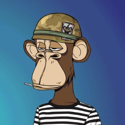 Entrepreneur. NFT collector.
Member of the Bored Ape Yacht Club. DM for advice on NFTs.
