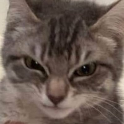 Picoisbad's profile picture. being as goblincore and evilpilled as possible 😈 she/her // ninja of the hidden leaf