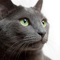 Maya Fairesta🇺🇸🦅💙✝️🌈🟧 (@mayafairesta) 's Twitter Profile Photo Maya Fairesta🇺🇸🦅💙✝️🌈🟧 (@mayafairesta) 's Twitter Profile Photo