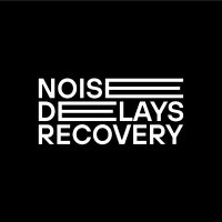 NoiseDelaysRecovery(@NoiseDelays) 's Twitter Profile Photo