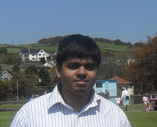Malware analyst