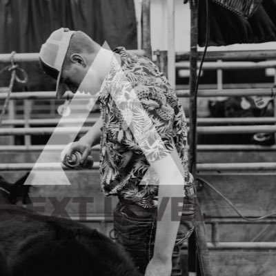 Steer Jock Add the snap@Cattlefitter1