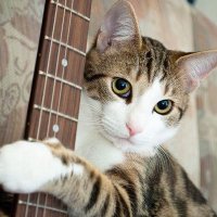 Kimic♂ (@kimictokyo) Twitter profile photo