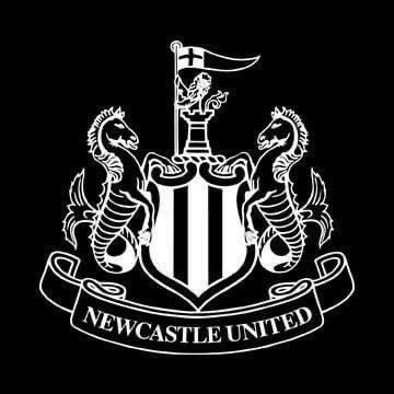 I’m a big NUFC fan and gamer.