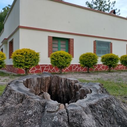 Es preferible morir a vivir esclavo.
Que el miedo no se apropie de tu razón.