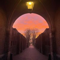 Van Alphen Céline (@ladose88480438) 's Twitter Profile