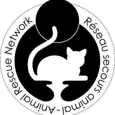 The largest no-kill, non-profit cat shelter in Montreal, Quebec, Canada, since 1994 🐈‍⬛ 100% volunteer run 🐱🐾