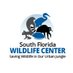 South Florida Wildlife Center (@sf_wildlifectr) Twitter profile photo South Florida Wildlife Center (@sf_wildlifectr) Twitter profile photo