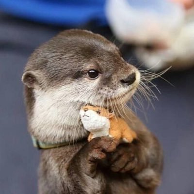 Akilia_0712's profile picture. 駅伝/東海ファン 東海体体2年 日本語がへたくそで勉強しています🥲