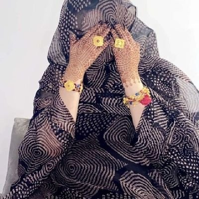 بلادي تتمتع بحكومة تجسد الوعود على أرض الواقع
