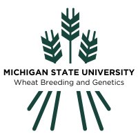 MSU Wheat Genetics (@msuwheat) 's Twitter Profile