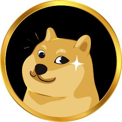 DogelonFloki coin image