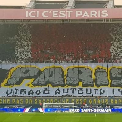 steveforceone's profile picture. 