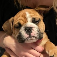 David Gwaltney (@davidgwaltney11) 's Twitter Profile