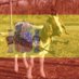 Spanish Goats (@spanishgoats) Twitter profile photo Spanish Goats (@spanishgoats) Twitter profile photo