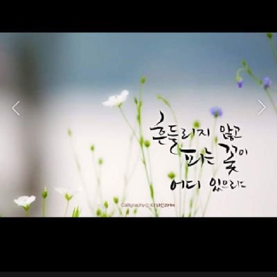 kyslove29's profile picture. 