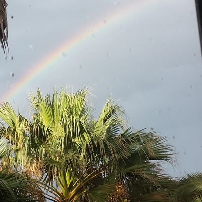 m3ntalr3ck's profile picture. CashApp $JillWyant
Venmo @m3ntalr3ck