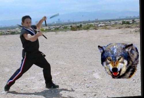 Edward Pizzo has been studying Martial arts for 40 years he is an expert with nunchucks, He is also a consultant for many businesses around the world.