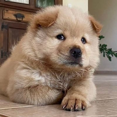 0nejeno's profile picture. เขินมิตรภาพลูกผู้ชายไปวัน ๆ