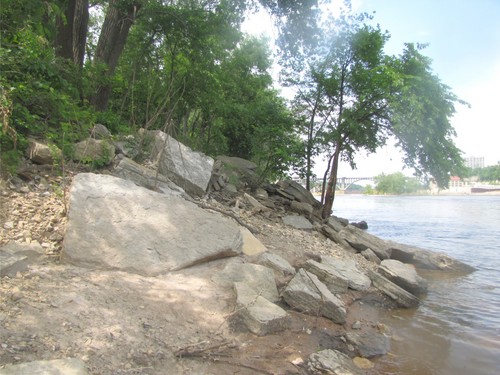 Kitchigami's profile picture. 