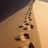 saad_alanazi1's profile image