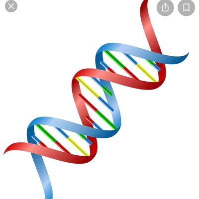 Timothy Niewold, MD, Vice Chair of Medicine for Research at Hospital for Special Surgery, scientist studying the genetics and immunology of autoimmune disease