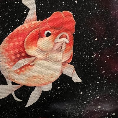 lost in space