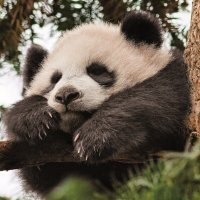 Couch (@couchfn_) 's Twitter Profile