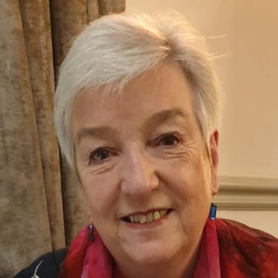 Emeritus Professor of Journalism  Education & Advisory Board member @sheffjournalism.  Public Orator @sheffielduni.