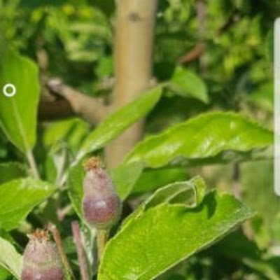 DeryaKi99405339's profile picture. 