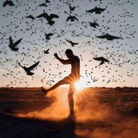 Ace (@masteace) 's Twitter Profile