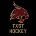 Texas State Hockey (@TxStateHockey) Twitter profile photo