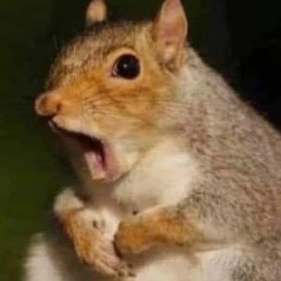 Streamer que hace streams en una plataforma para stremear || TWITCH: https://t.co/DcFVCsRrnz || IG: https://t.co/klkEQidkSw
