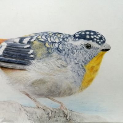 miyoshimitsuru's profile picture. 日曜画家です。主に色鉛筆画を描いています。
また、絵の題材探しに取材に行き、
撮影した野鳥やら動物やらを、アップしています。
興味持っていただいた方は、フォローお願いします🙇‍♂️⤵️