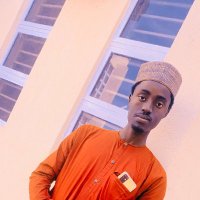 Annur muhammad adamu (@adamuannur) 's Twitter Profile