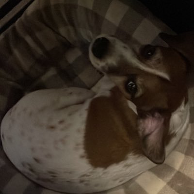 applepie10021's profile picture. 