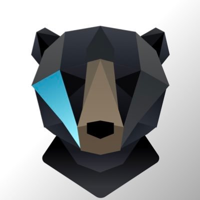 NFTBrickGuy's profile picture. Turning 🧱s to 💎s