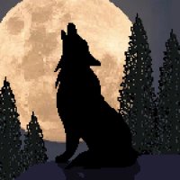 Sascha 💙 (@pixelblackwolf) 's Twitter Profile