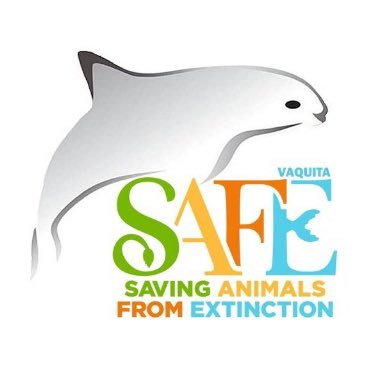 Vaquita SAFE is a collection of conservationists from accredited zoos and aquariums, working to save the world's most endangered marine mammal from extinction.