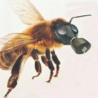 Ileo (@ileo_ileo) 's Twitter Profile