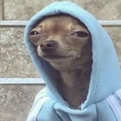 doomer  
 
🦕  🦖 ⛰️🏔️ 🏔️
    
Yo solo quiero tranquilidad, y poder grillear con unos perritos.
🚫En contra de la Mutilación Genital Masculina (circuncisión)