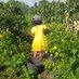 Petani dusun-dusun (@b73manalu) Twitter profile photo Petani dusun-dusun (@b73manalu) Twitter profile photo