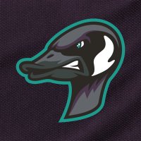 Rochester Honkers (@rochhonkers) 's Twitter Profile
