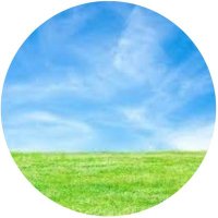 green🌻 (@green650405) 's Twitter Profile Photo green🌻 (@green650405) 's Twitter Profile Photo