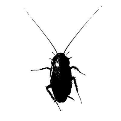 Official twitter of Pest Society, we are a community of insect pest tokens on Chia network. Join our Discord (https://t.co/S8hrOMjdqA) to get some bugs.