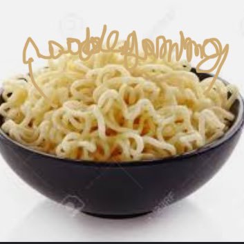 Hi I’m NoodlesGaming uhh Yeet?