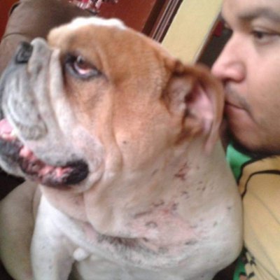 Gerner1050's profile picture. 