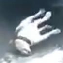 0weeeeen's profile picture. ???