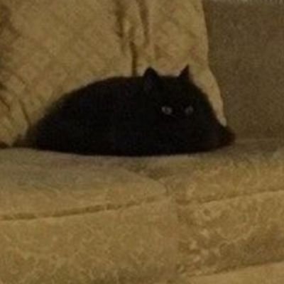 Needmotivatio10's profile picture. 