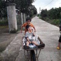 Việt Hà Nguyễn (@nvha2022) 's Twitter Profile